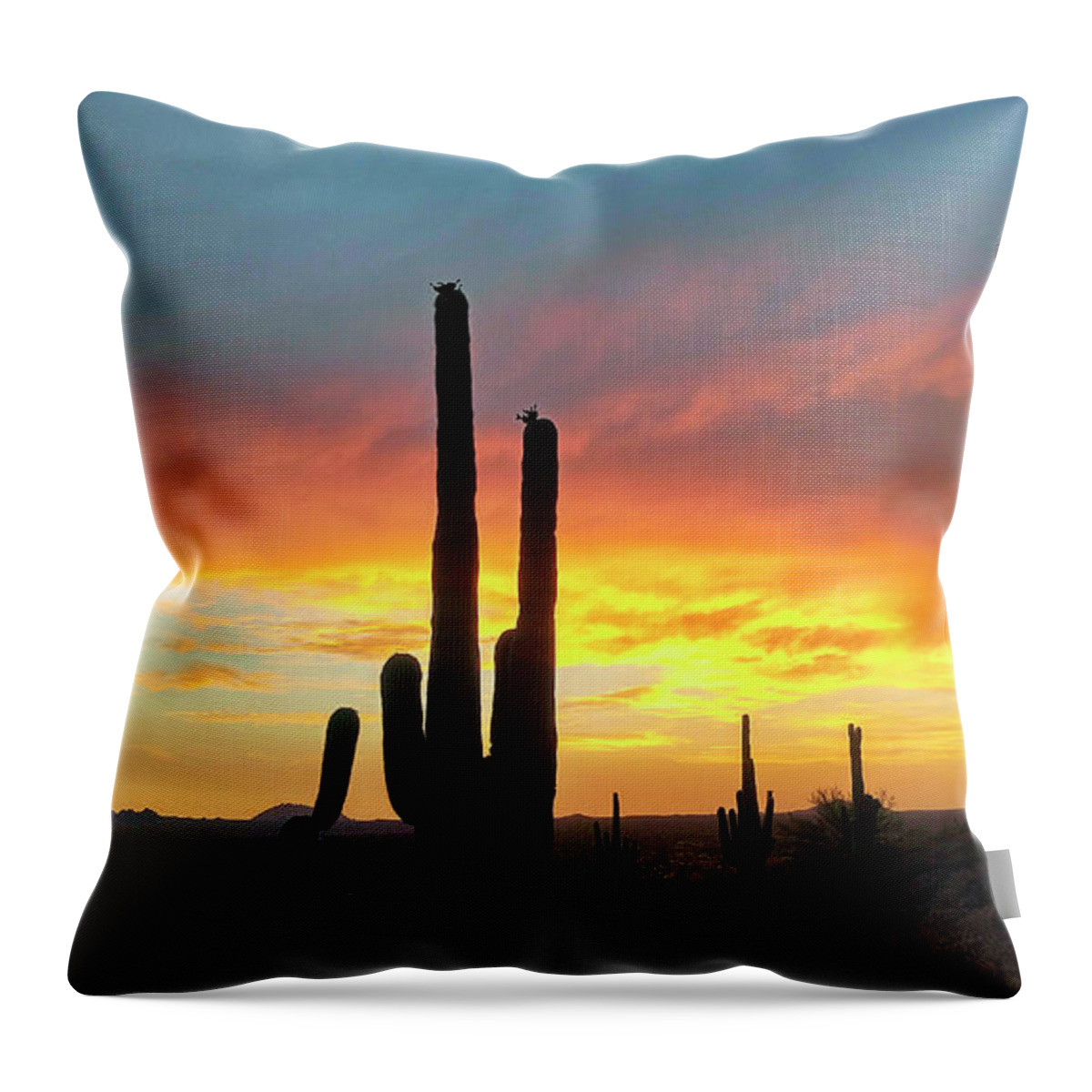 Anthony Citro Photography Throw Pillow featuring the photograph Saguaro Sunset by Anthony Citro