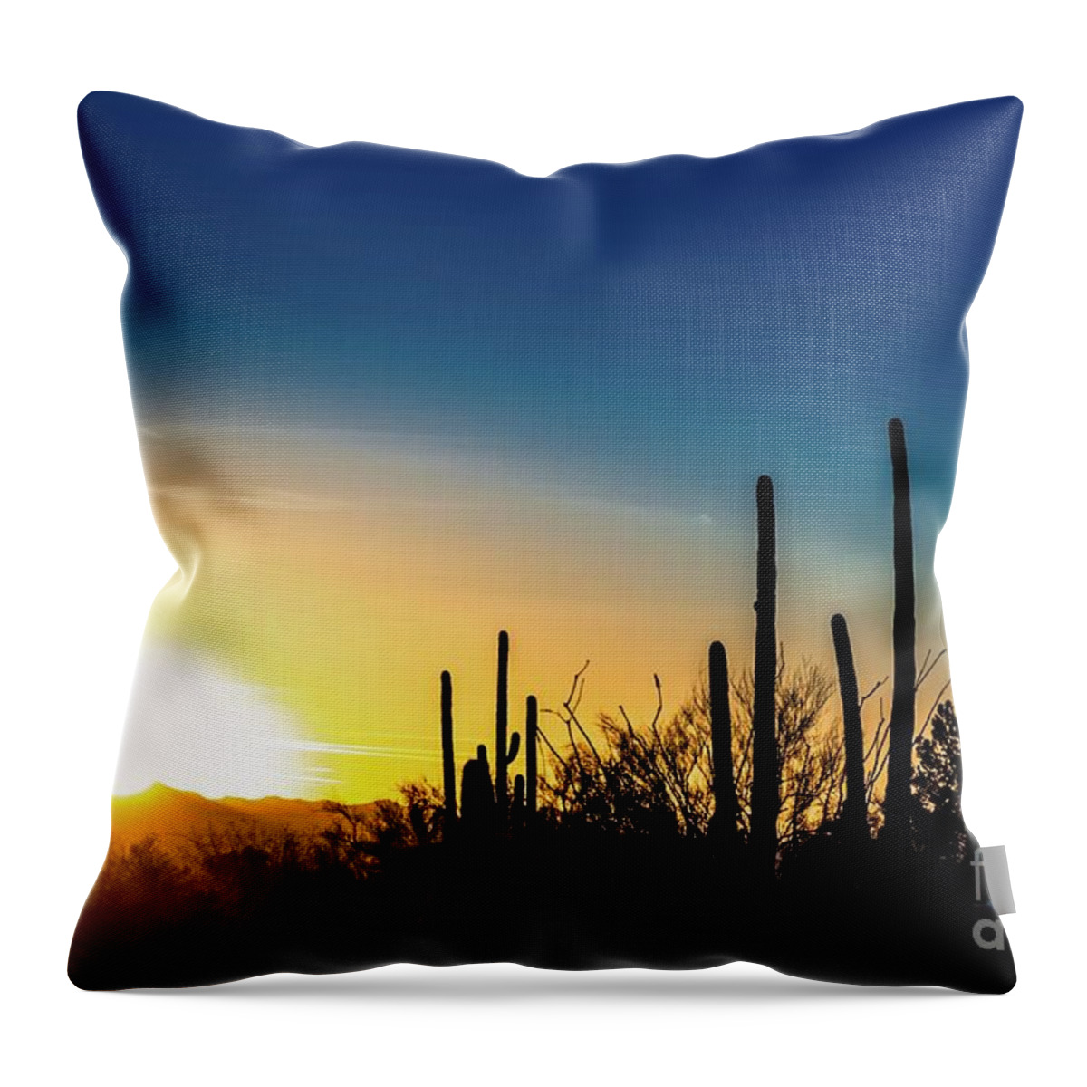 Saguaro Throw Pillow featuring the photograph Saguaro Sunset by Jim DeLillo