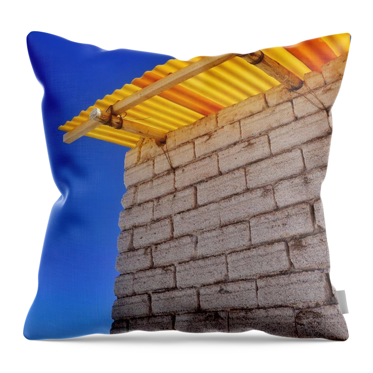 Salar De Uyuni Tour 65 Throw Pillow featuring the photograph Salar de Uyuni Tour 65 by Skip Hunt