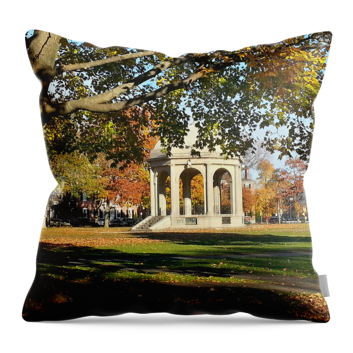 Salem Throw Pillow featuring the photograph Salem common in autumn by Jeff Folger