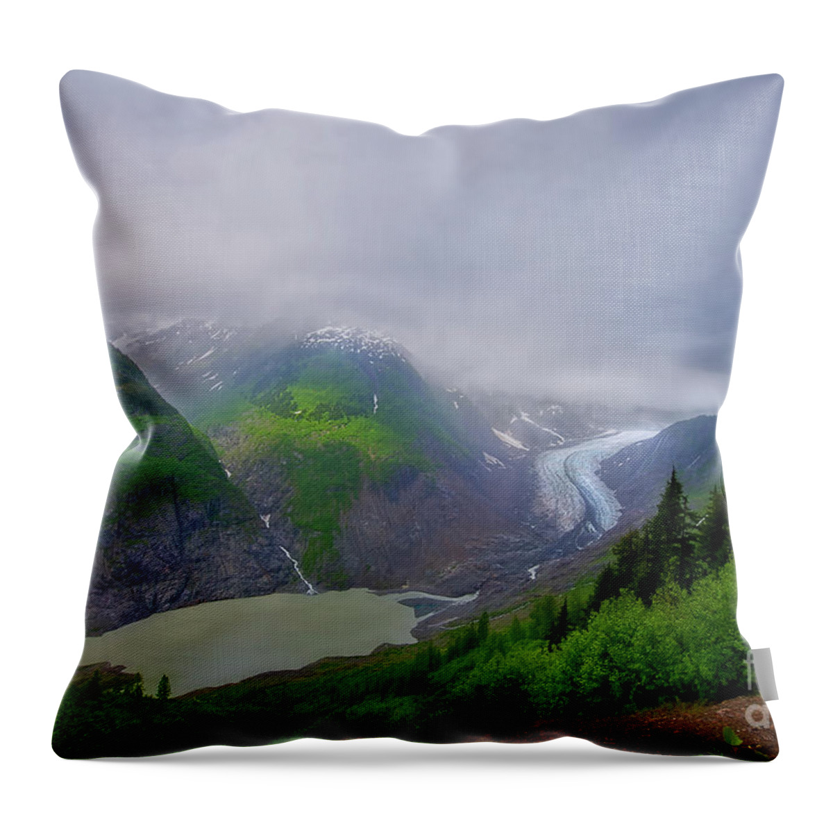 Salmon Glacier Throw Pillow featuring the photograph Salmon Glacier near Hyder AK by David Arment