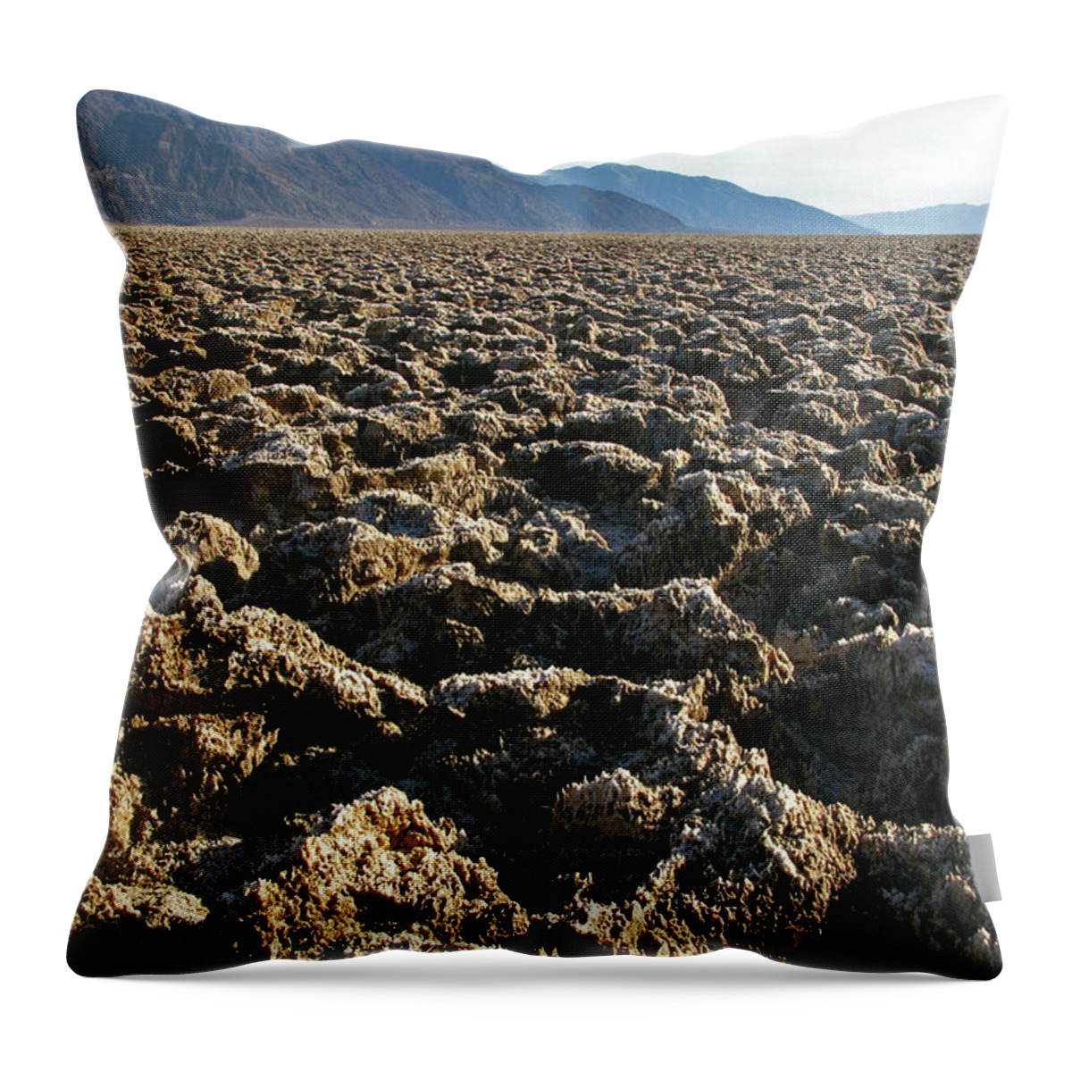 Death Valley Throw Pillow featuring the photograph Salt Flats by Inge Riis McDonald