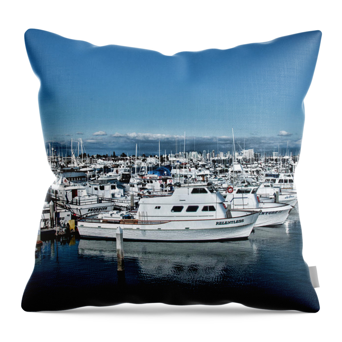 Land And Sea Scape Of San Diego Marina And Skyline Throw Pillow featuring the photograph San Diego Marina and City Skyline by Daniel Hebard