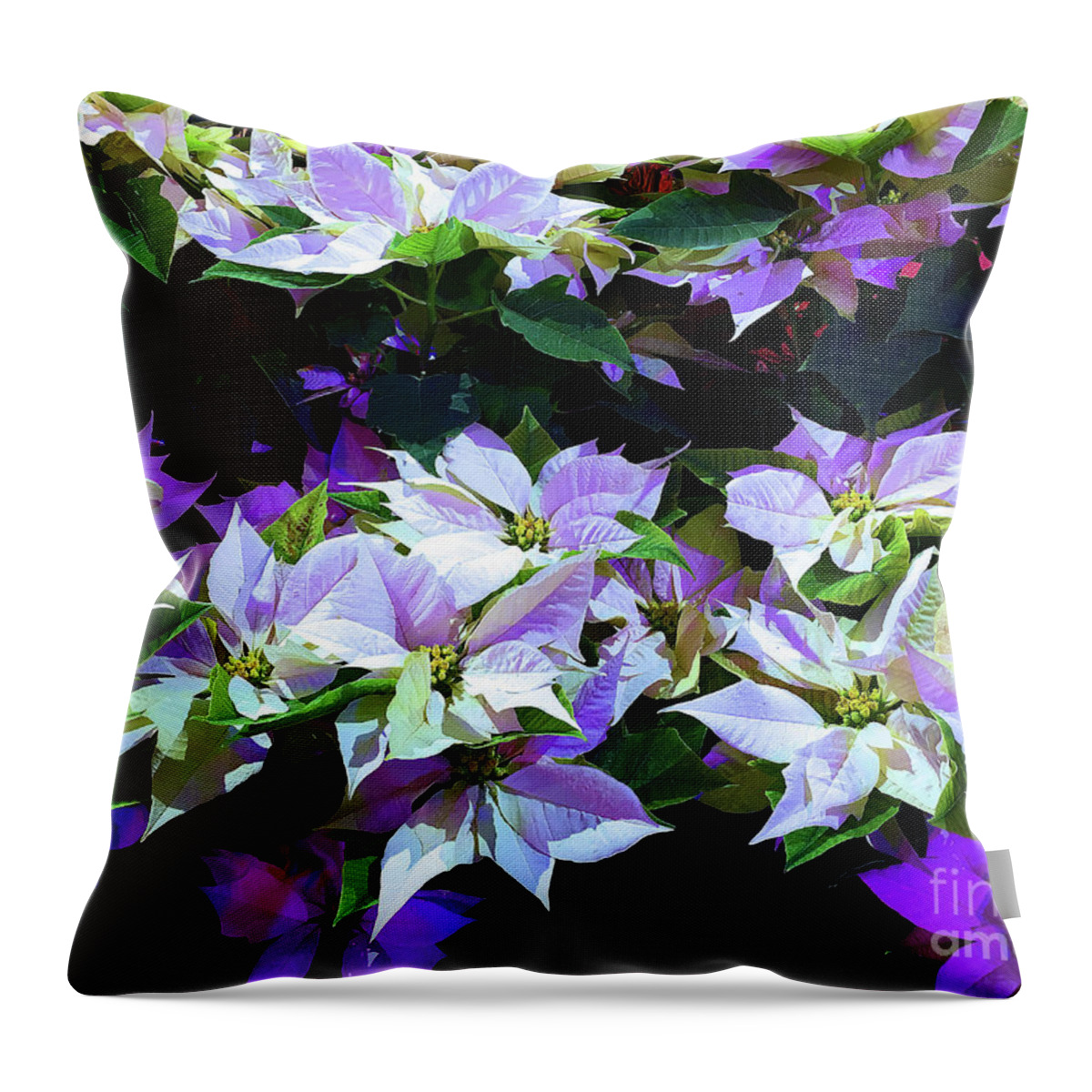 Flower Throw Pillow featuring the photograph Sanctuary Poinsettias by Eunice Warfel