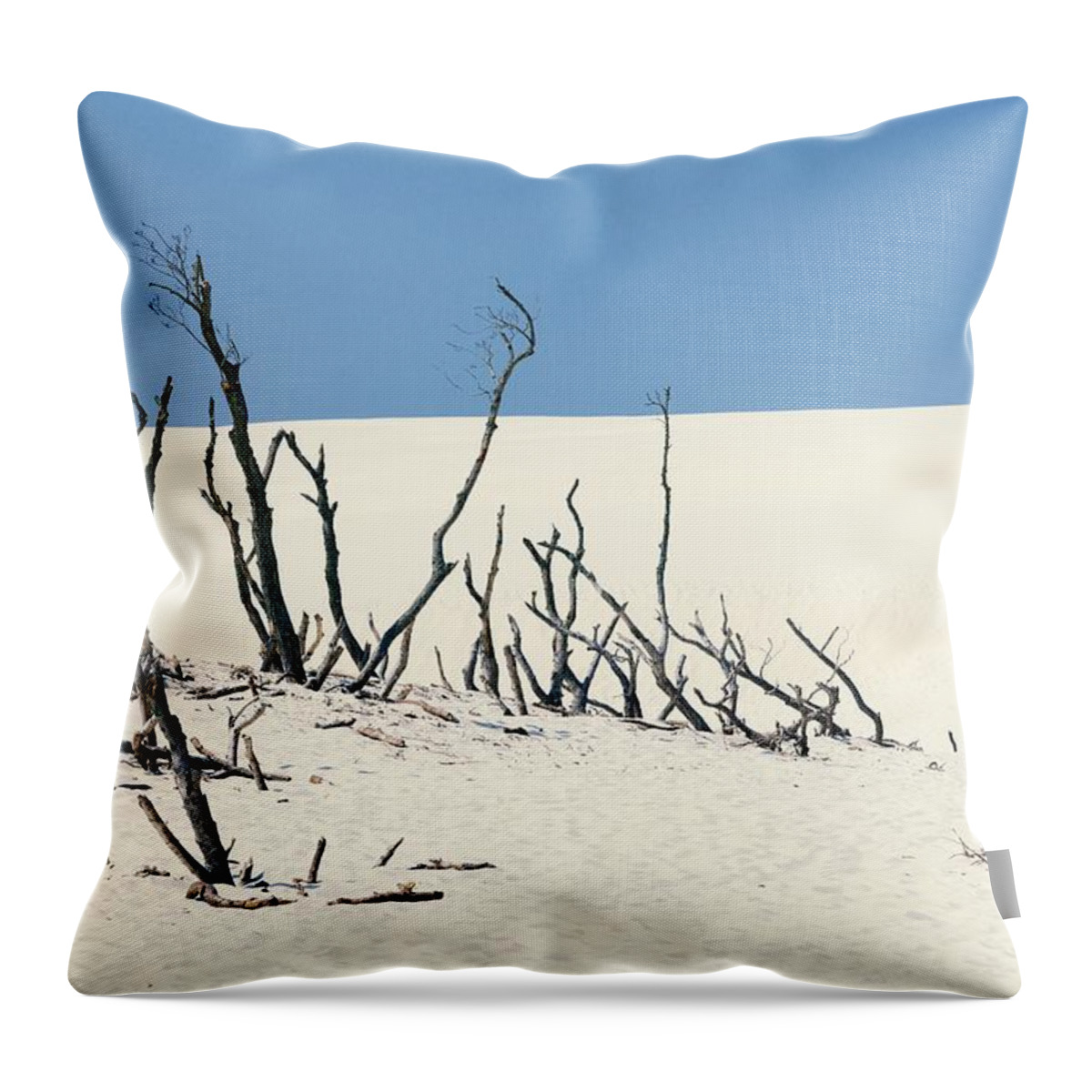 Sand Throw Pillow featuring the photograph Sand Dune With Dead Trees by Chevy Fleet