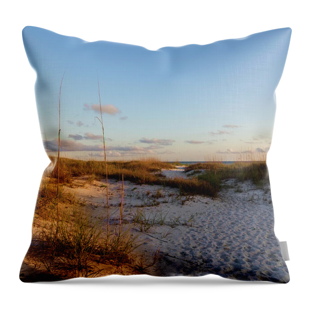 Beach Throw Pillow featuring the photograph Sand Dunes by Lorraine Baum
