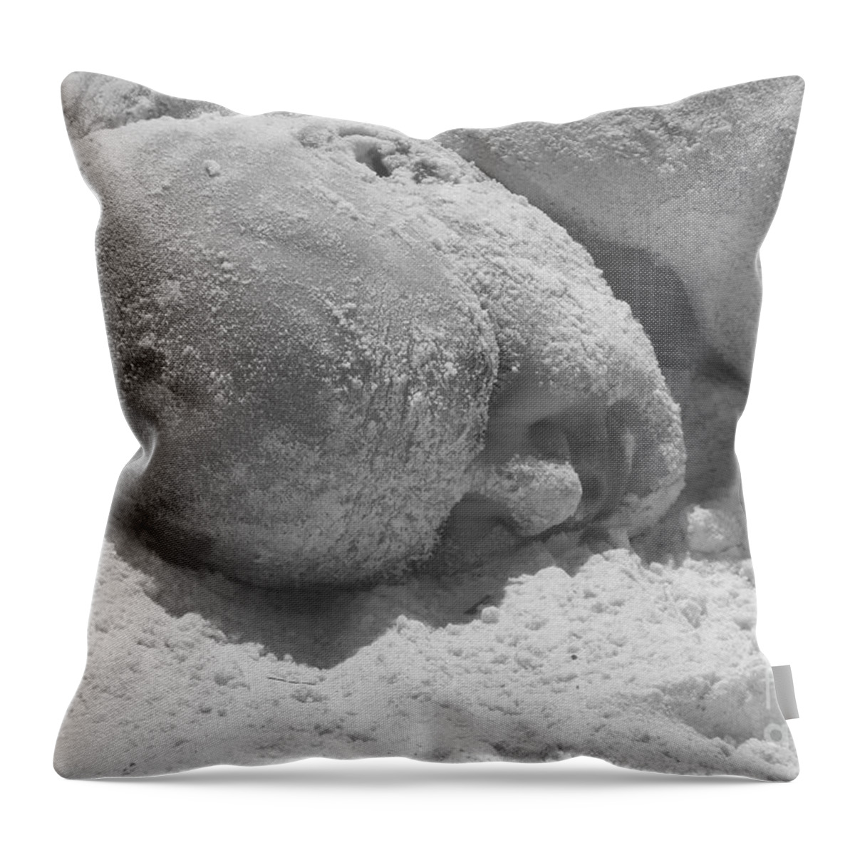 Beach Throw Pillow featuring the photograph Sand Man by WaLdEmAr BoRrErO