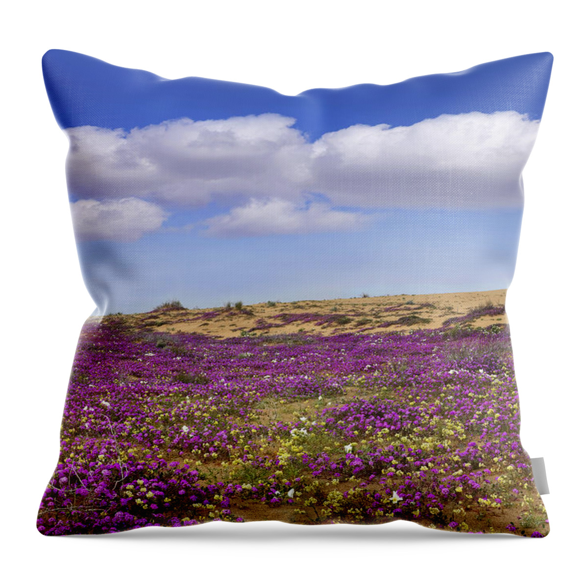 00175207 Throw Pillow featuring the photograph Sand Verbena Carpeting The Dune by Tim Fitzharris