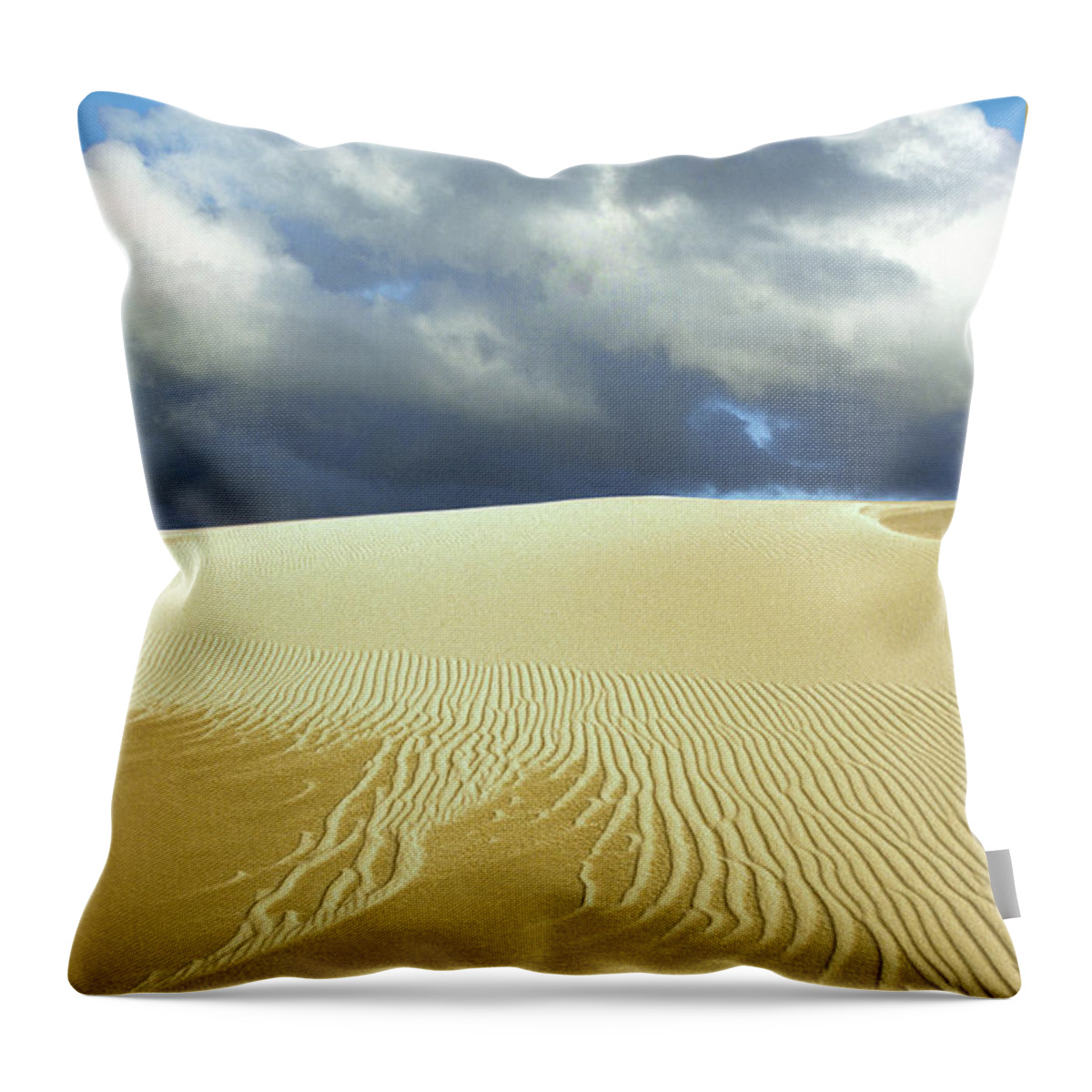 The Walkers Throw Pillow featuring the photograph Sandanistas by The Walkers