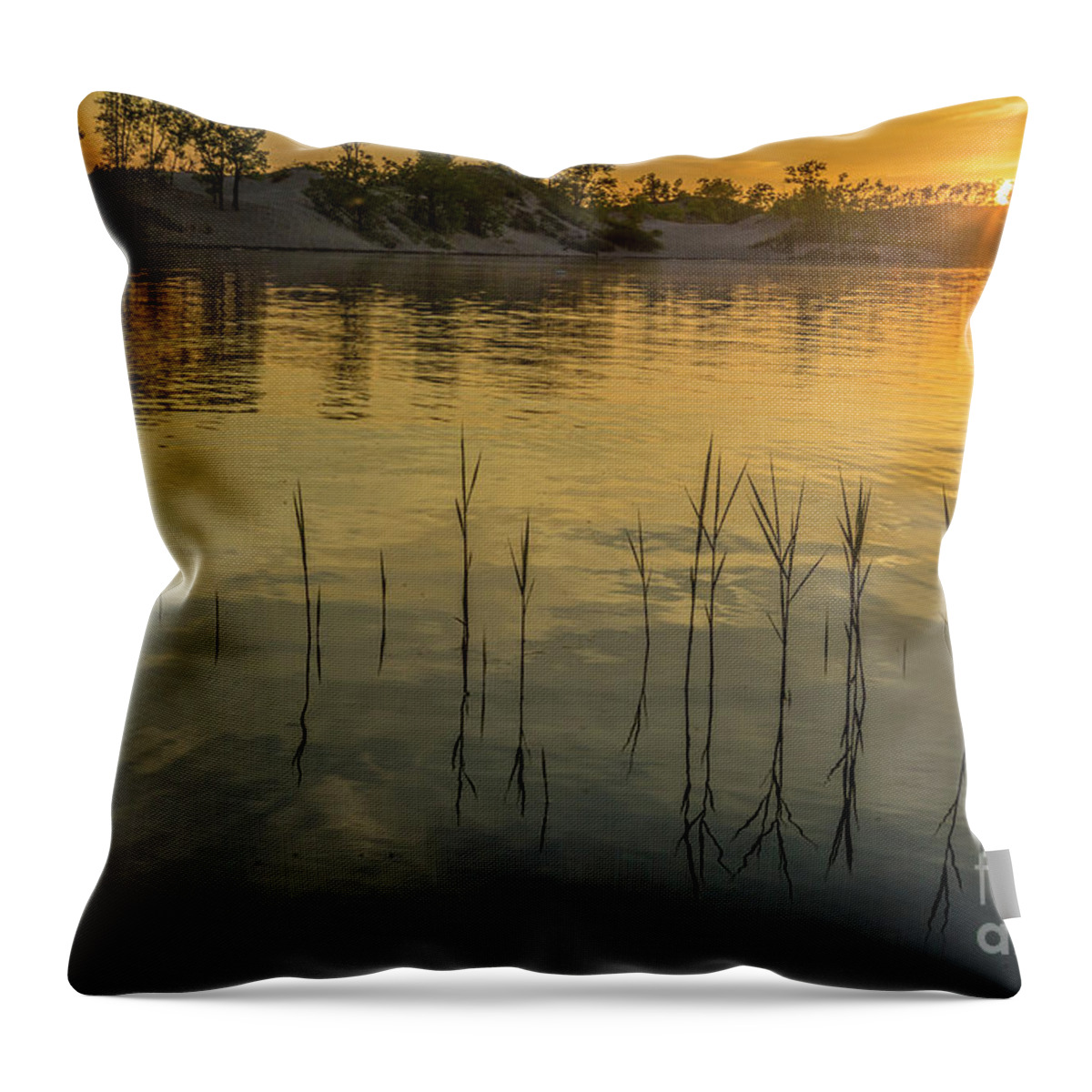 Evening Throw Pillow featuring the photograph Sandbanks Sunset by Roger Monahan