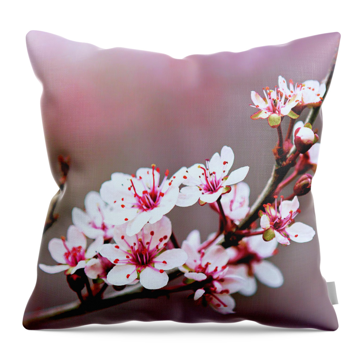 Sandcherry Blossoms Throw Pillow featuring the photograph Sandcherry Blossoms by Carolyn Derstine