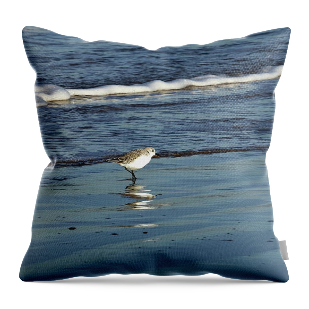 Sanderling Throw Pillow featuring the photograph Sanderling in the Surf by Jeff Townsend