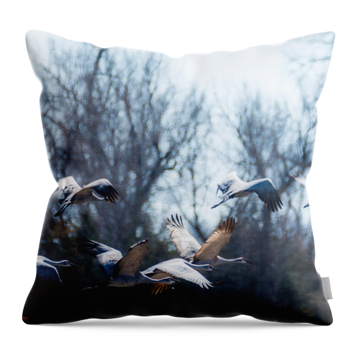 Sandhill Crane Throw Pillow featuring the photograph Sandhill Crane In Flight by Ed Peterson