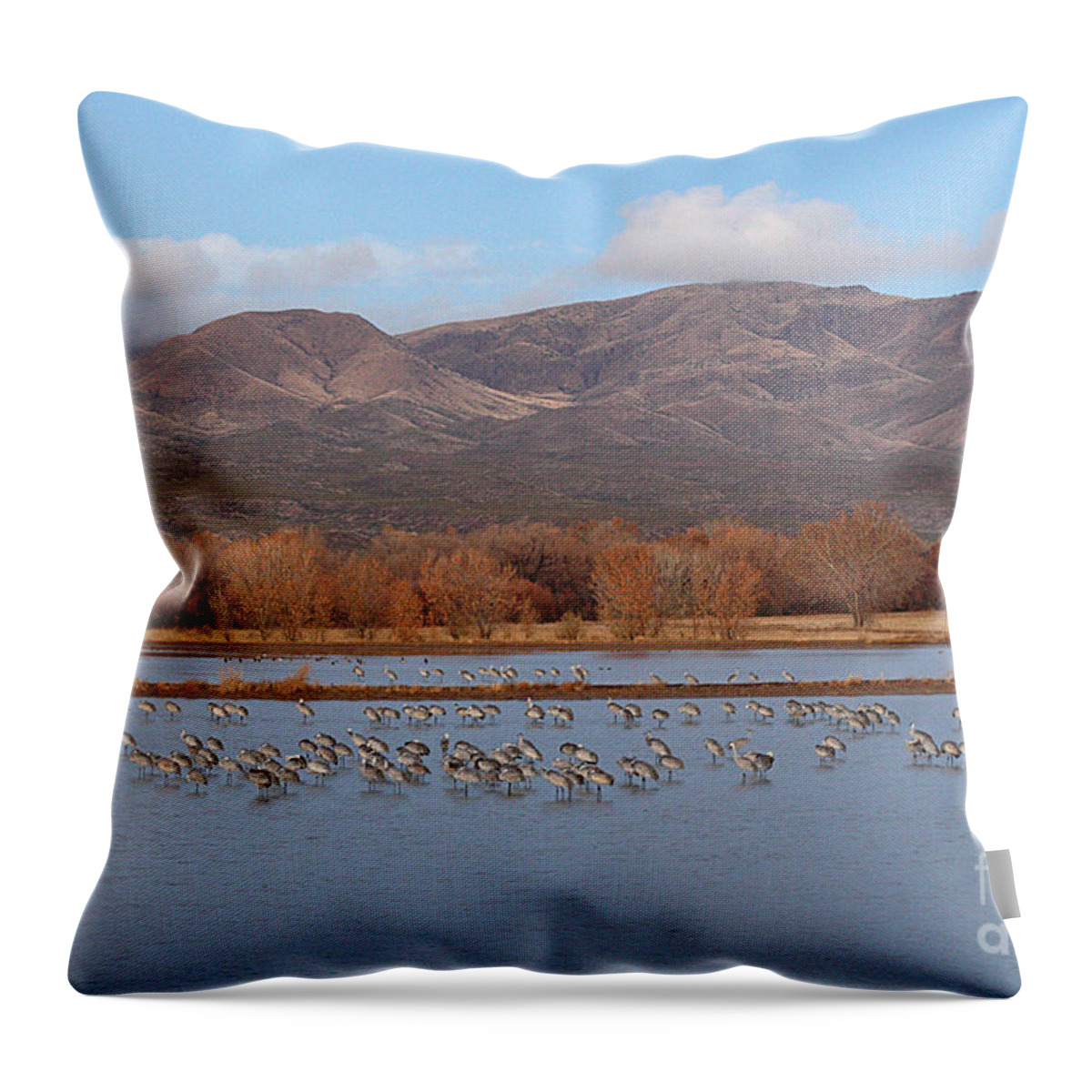 Sandhill Crane Throw Pillow featuring the photograph Sandhill Cranes Beneath The Mountains Of New Mexico by Max Allen