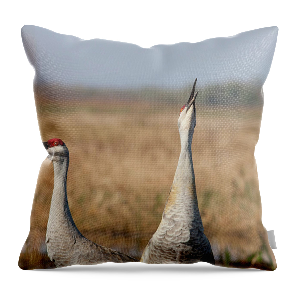 Sandhill Crane Throw Pillow featuring the photograph Sandhill Cranes Calling by Paul Rebmann