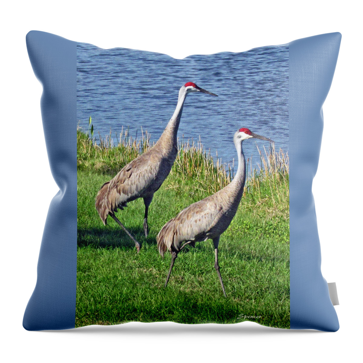 Sandill Throw Pillow featuring the photograph Sandhill Pair by T Guy Spencer