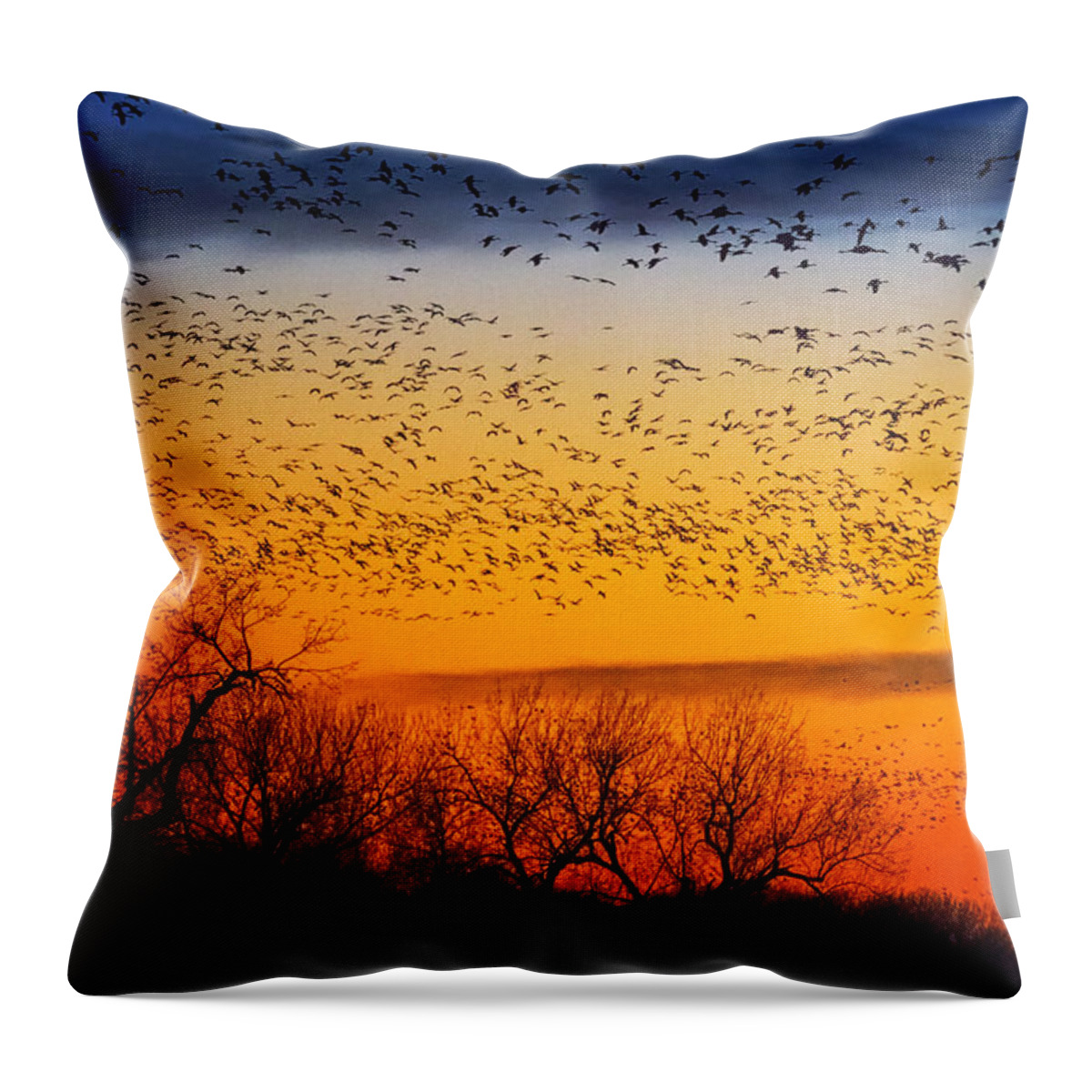 Critter Throw Pillow featuring the photograph Sandhill Setting over The Platte by Sylvia J Zarco