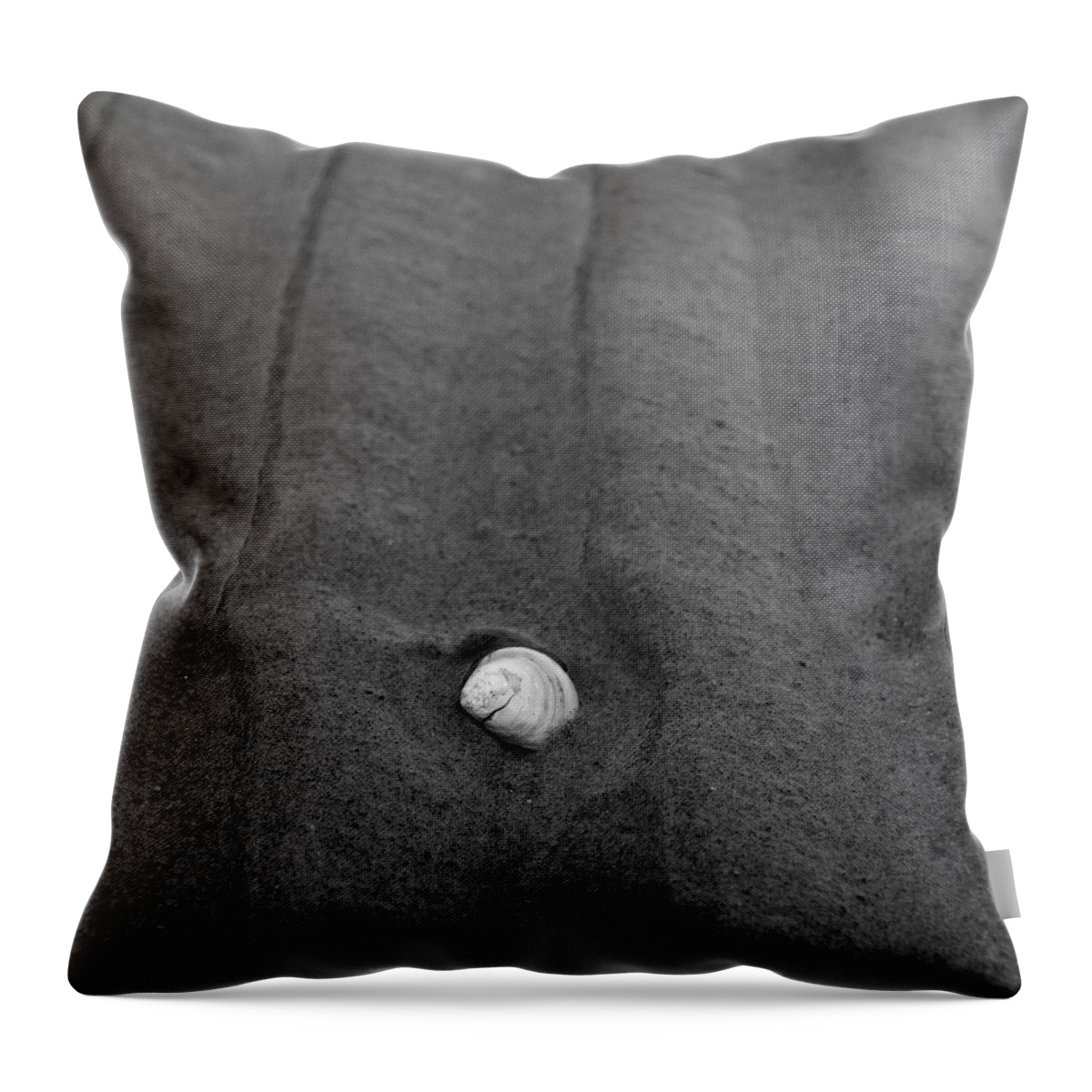 Lehtokukka Throw Pillow featuring the photograph Sandlines by Jouko Lehto
