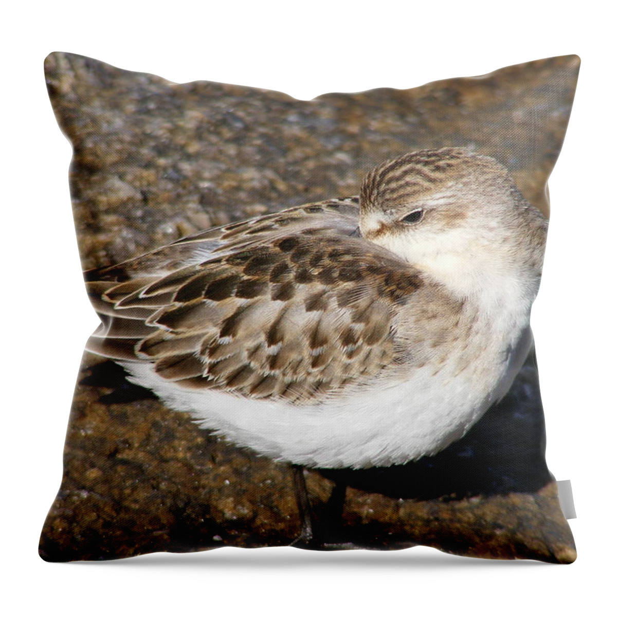 Sandpiper Throw Pillow featuring the photograph Sandpiper by Doug Mills