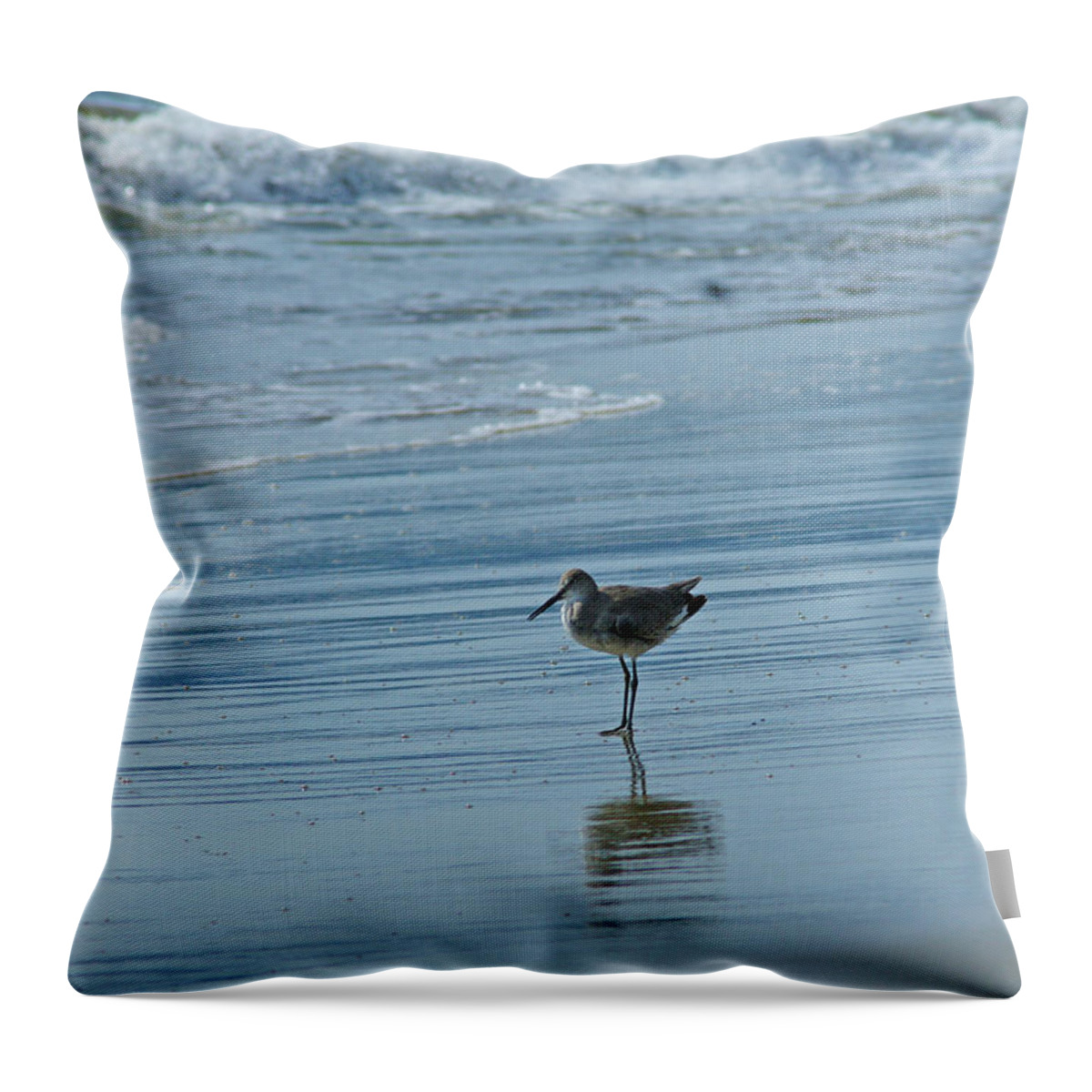 Sandpiper Throw Pillow featuring the photograph Sandpiper on the Beach by Randy Harris