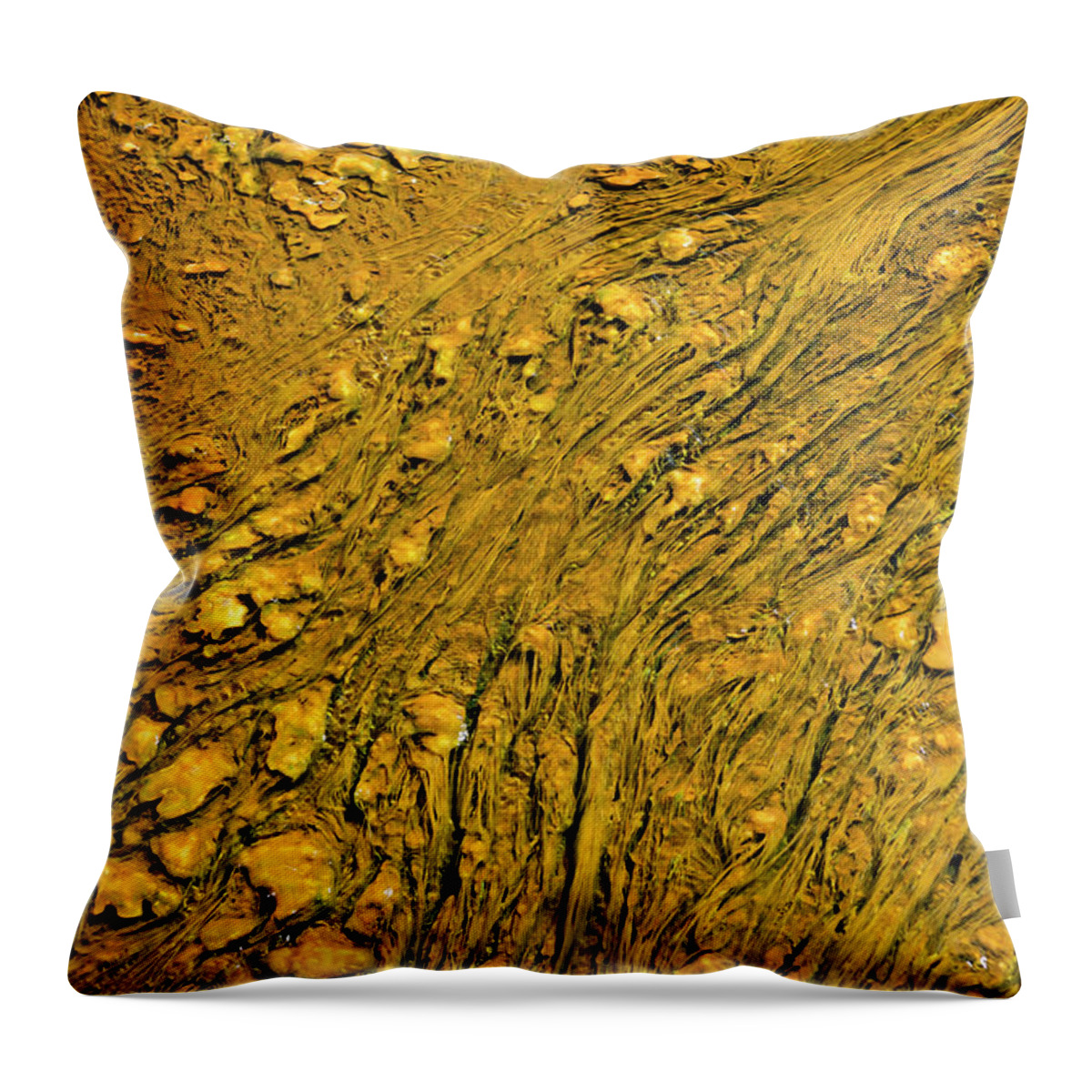 Wyoming Throw Pillow featuring the photograph Sands of Gold by Norman Reid