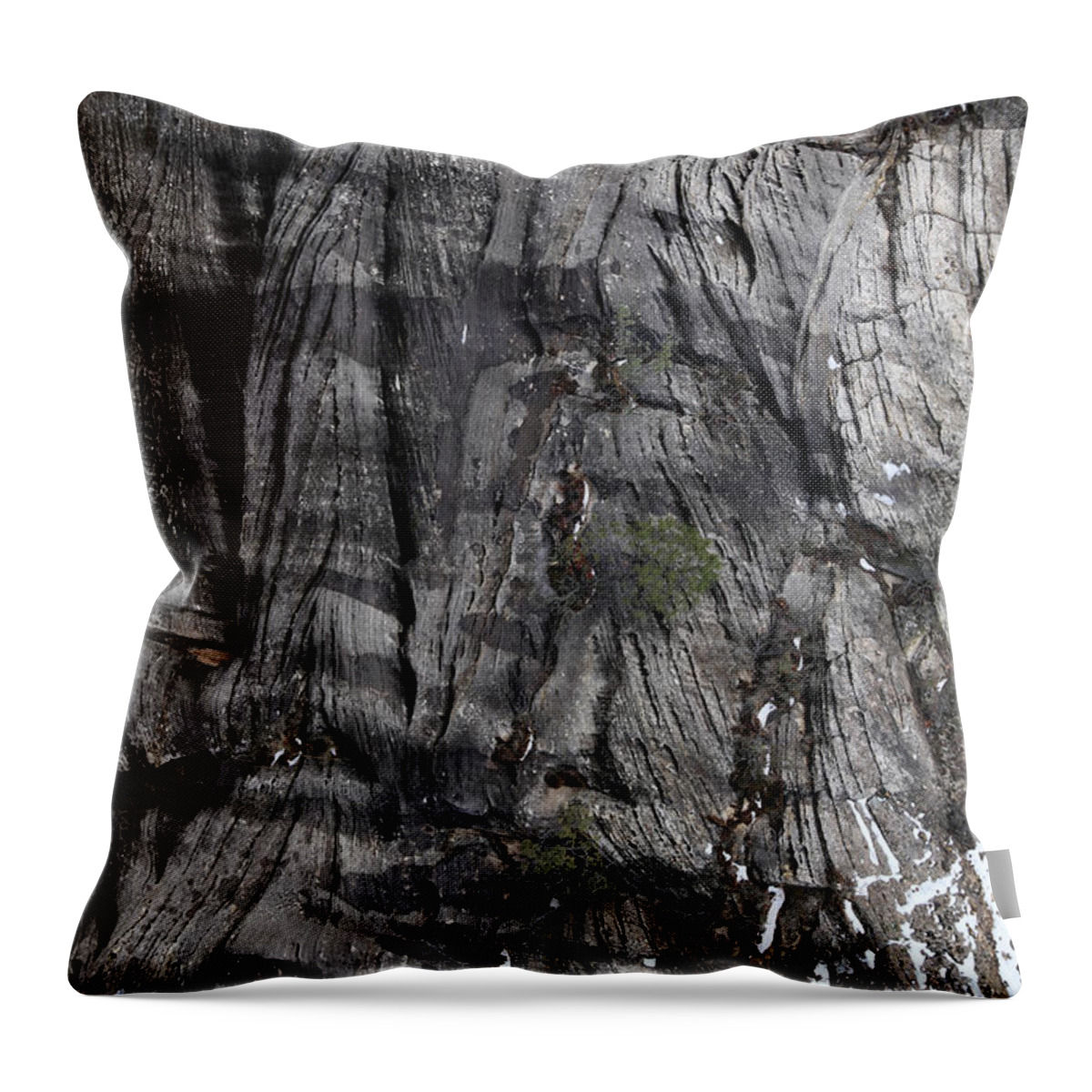 Arizona Throw Pillow featuring the photograph Sandstone Erosion Walnut Canyon by Mary Bedy