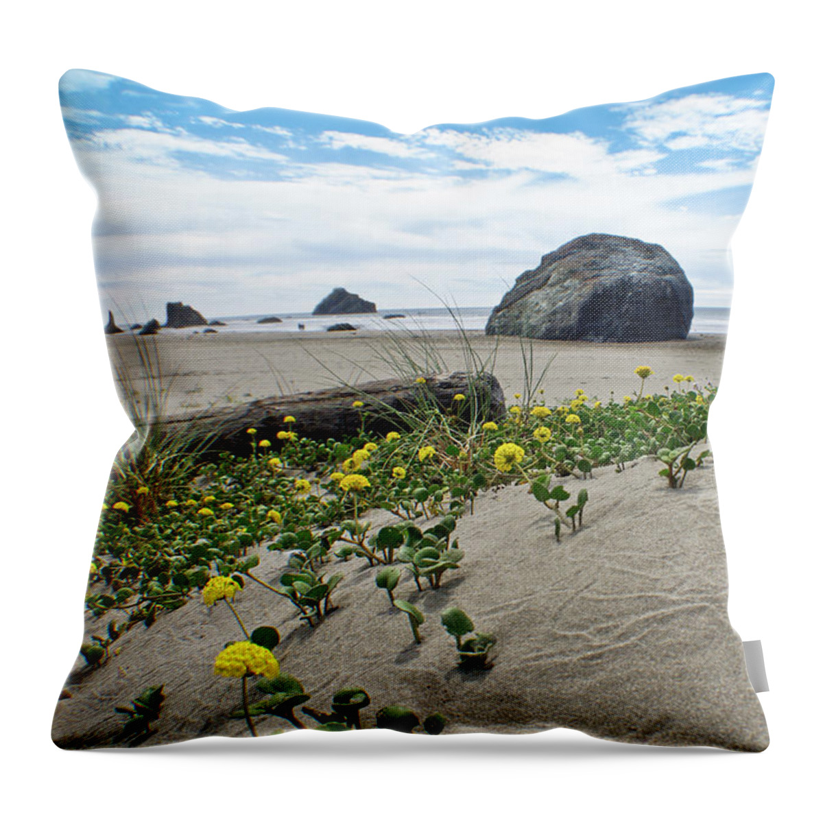 Adria Trail Throw Pillow featuring the photograph Sandy Point of View by Adria Trail