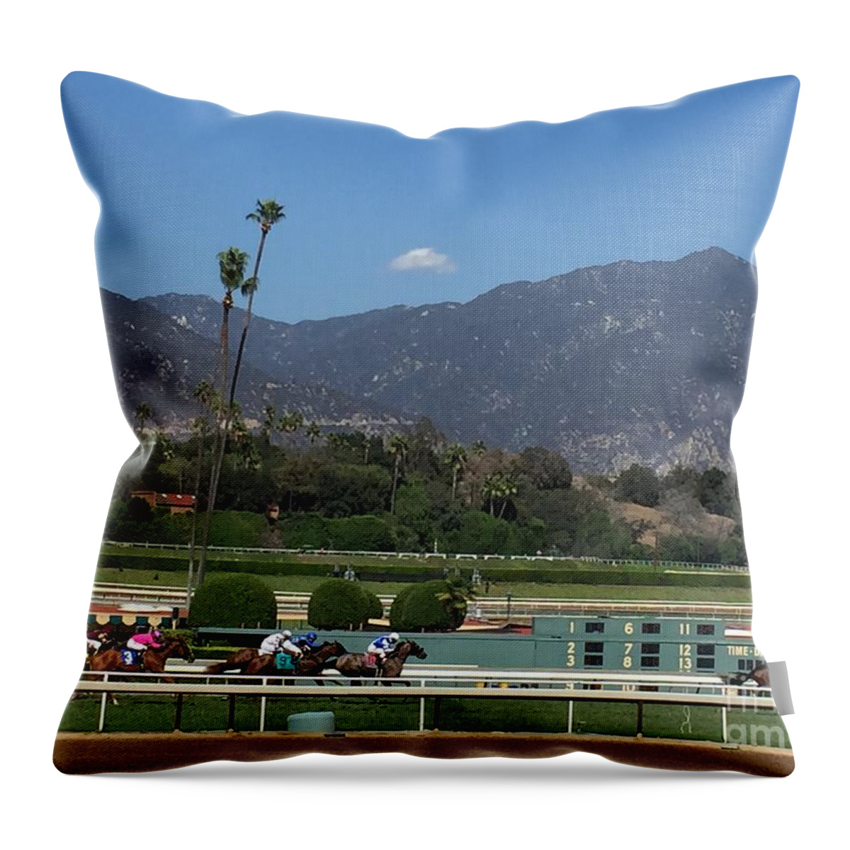 500 Views Throw Pillow featuring the photograph Santa Anita 3 by Jenny Revitz Soper