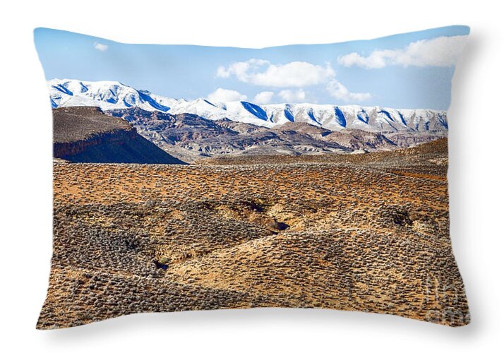 Santa Clara Utah Throw Pillow featuring the photograph Santa Clara Utah by David Millenheft