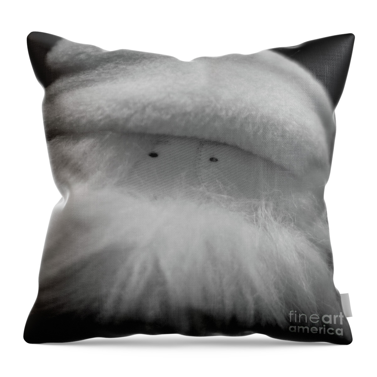 Santa Throw Pillow featuring the photograph Santa Cool and Square by Robert Yaeger