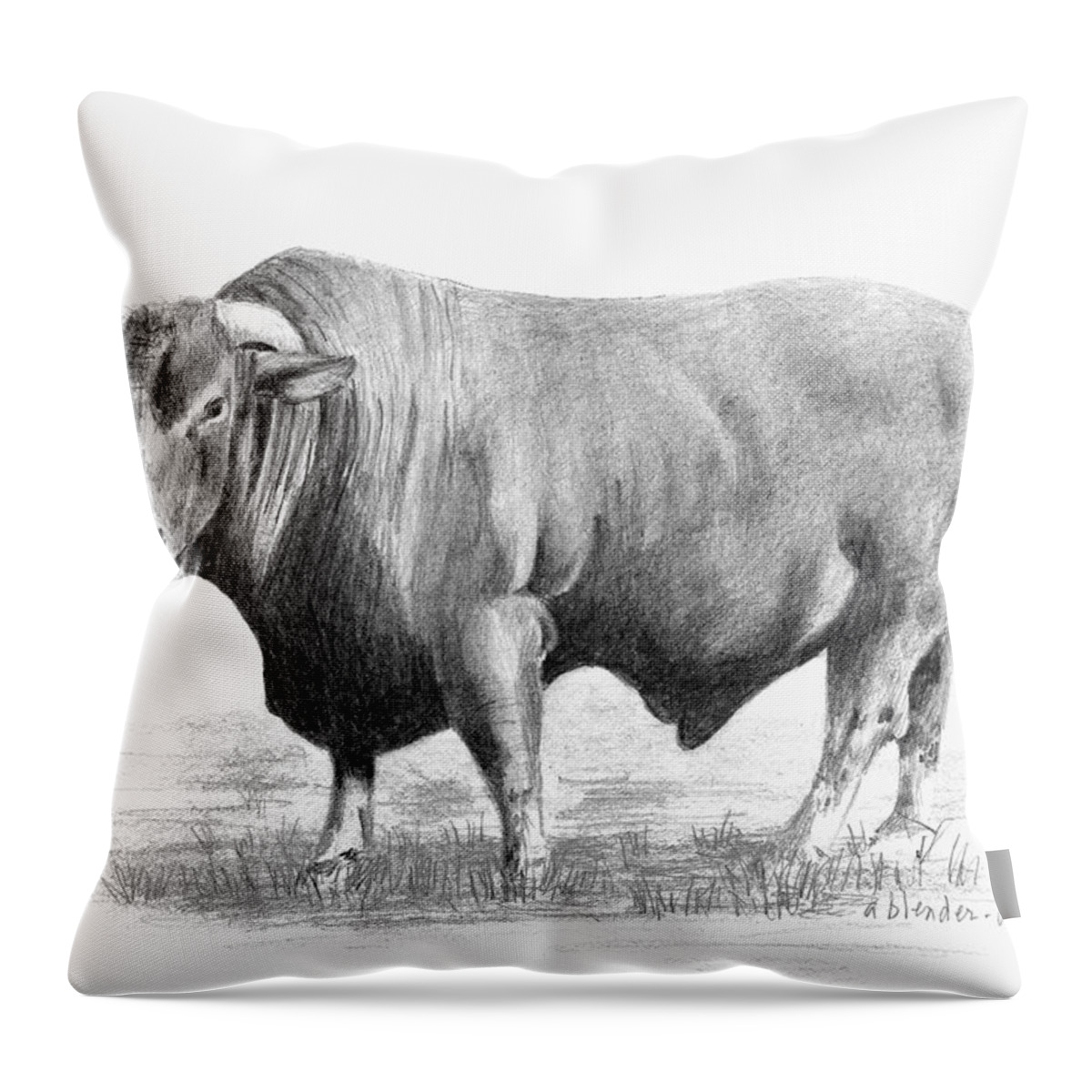  Bull Throw Pillow featuring the drawing Santa Gertrudis Bull by Arline Wagner