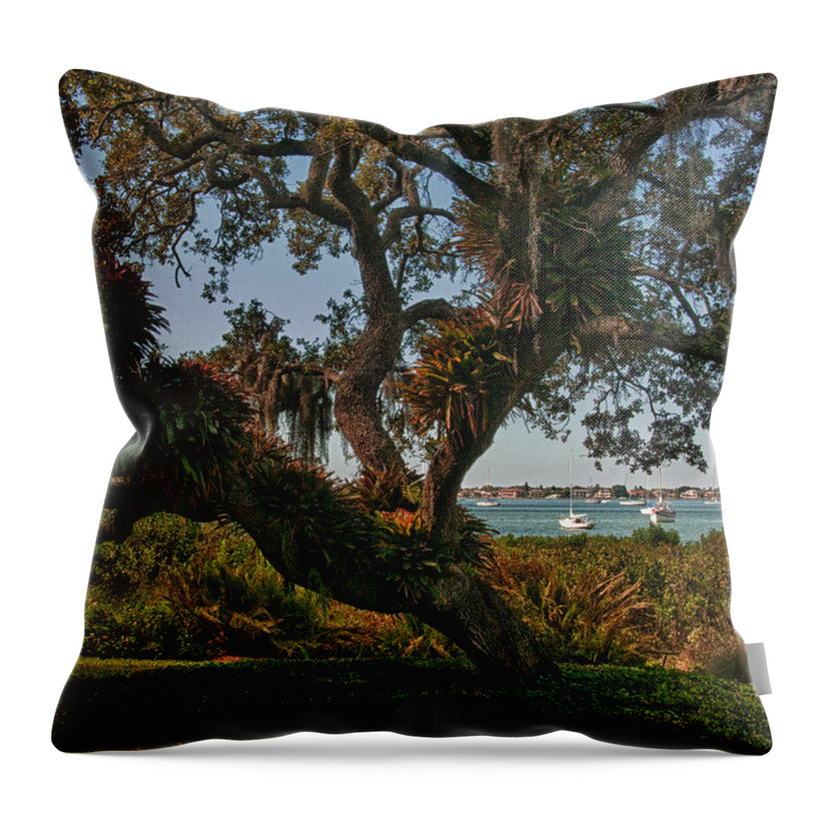 Garden Throw Pillow featuring the photograph Sarasota Bay View by Mitch Spence