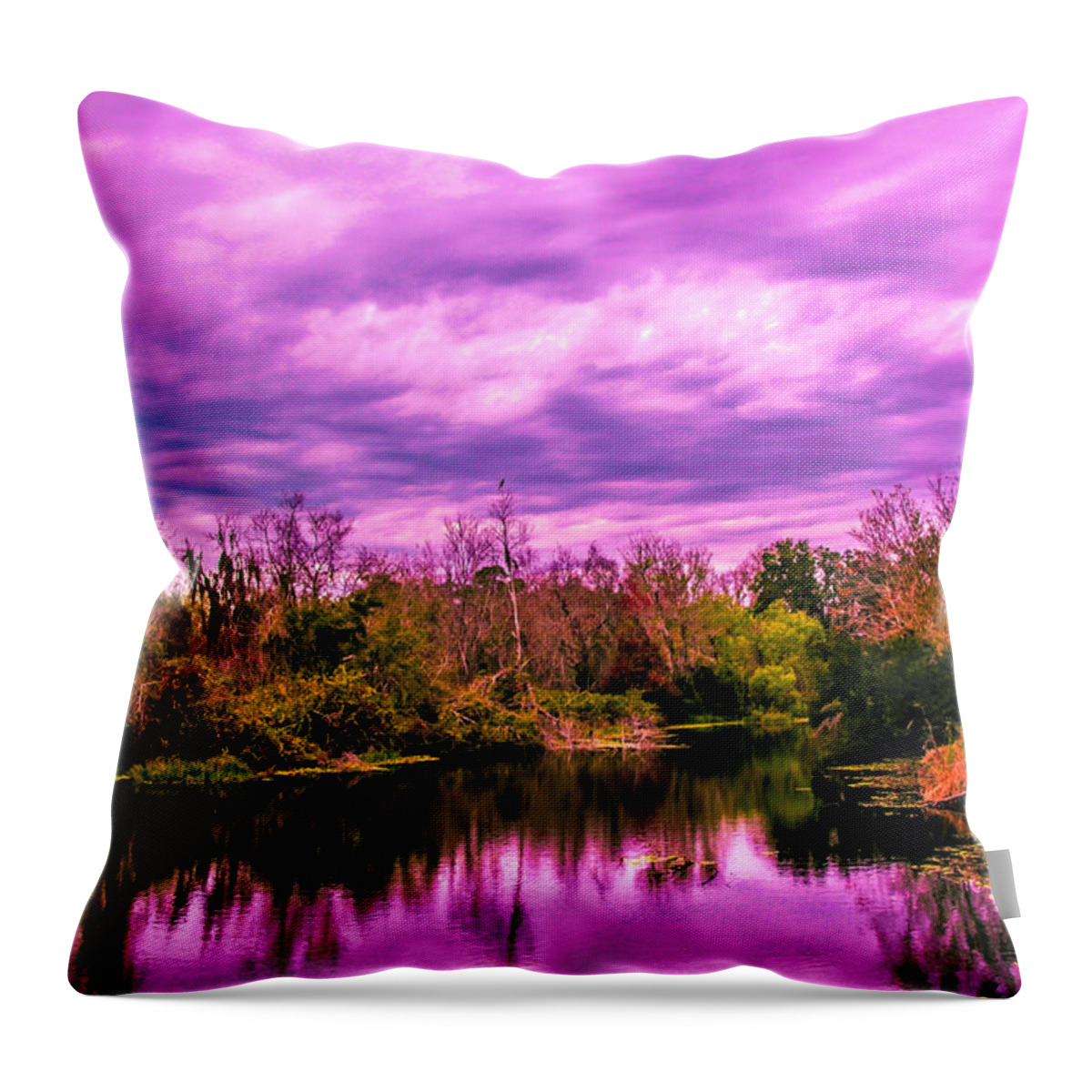 Land Throw Pillow featuring the photograph Sarasota Symphony 2 by Madeline Ellis