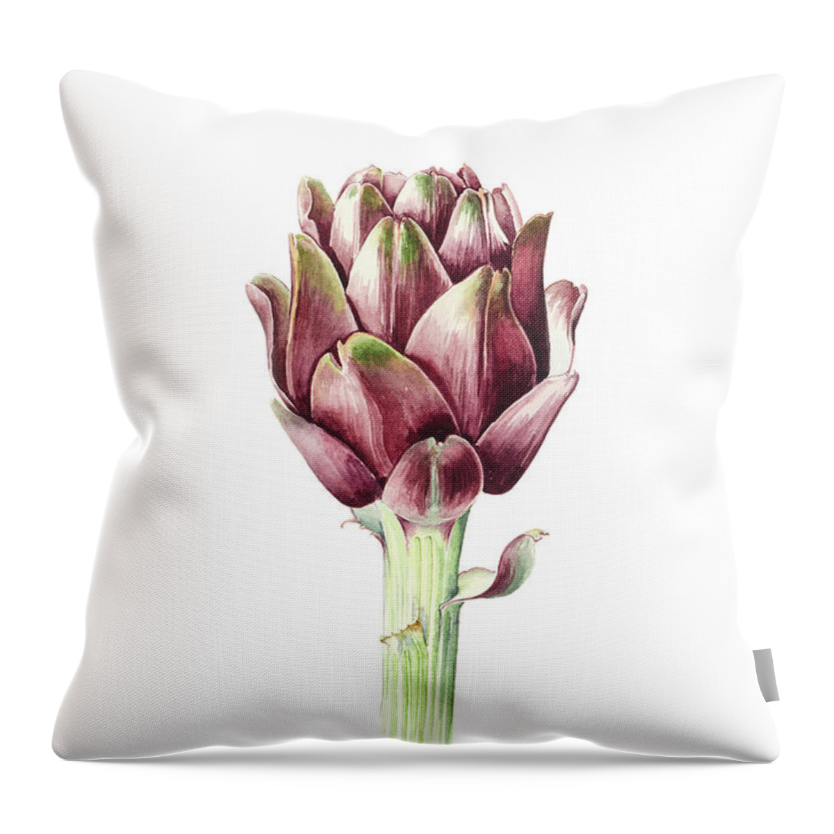 Artichoke Throw Pillow featuring the painting Sardinian Artichoke by Alison Cooper