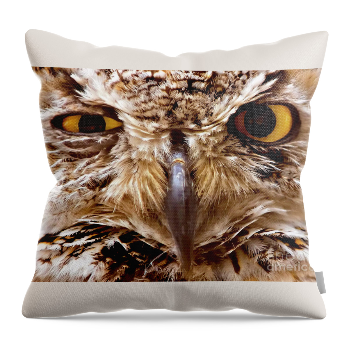 Looking Throw Pillow featuring the photograph Sassy Owl by Bill Frische