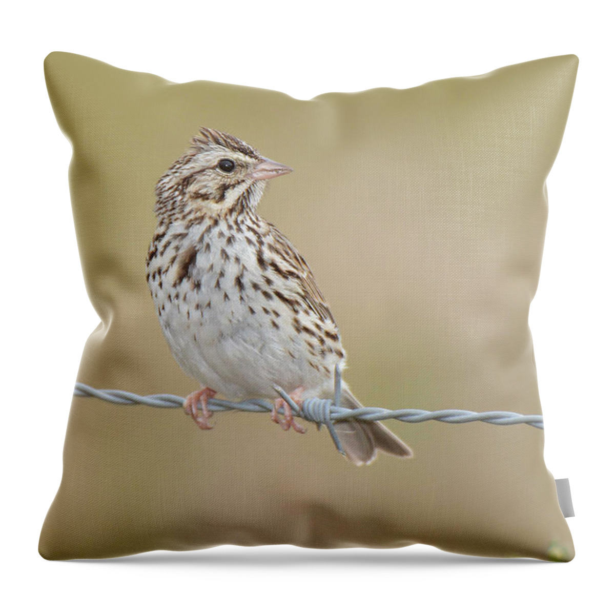 Bird Throw Pillow featuring the photograph Savannah Sparrow by Alan Lenk
