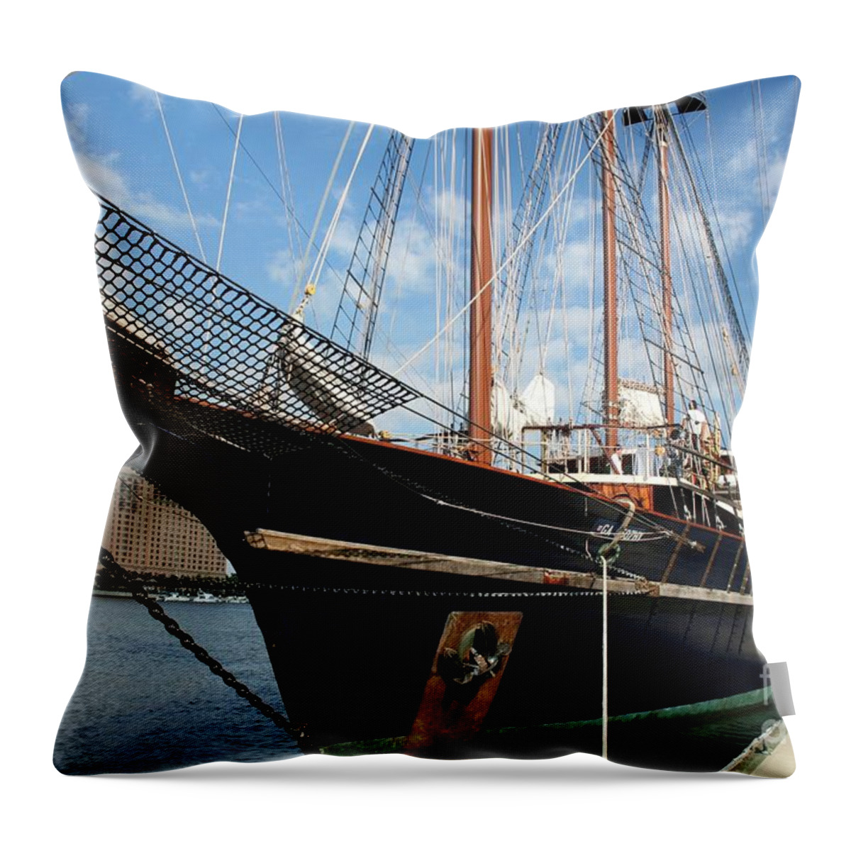 Sailing Ship Throw Pillow featuring the photograph Savannah Waterfront by John Black