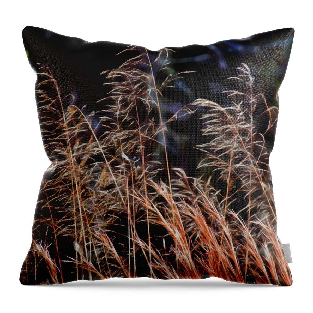 Saw Grass Throw Pillow featuring the photograph Saw Grass by Gina O'Brien