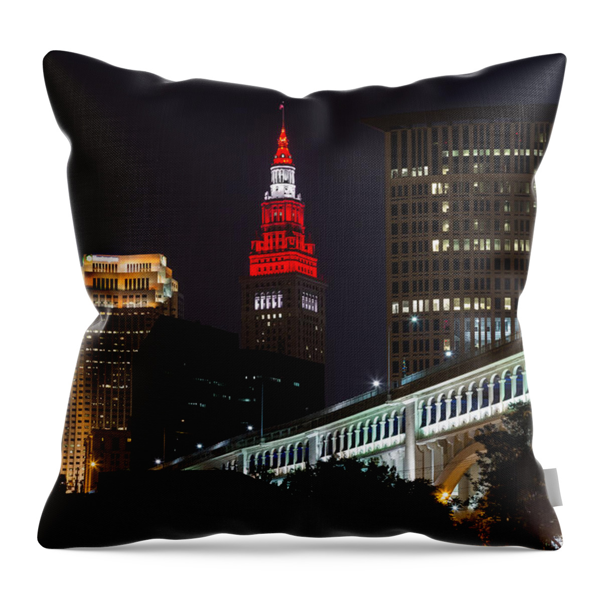 Scarlet And Gray Throw Pillow featuring the photograph Scarlet And Gray by Dale Kincaid