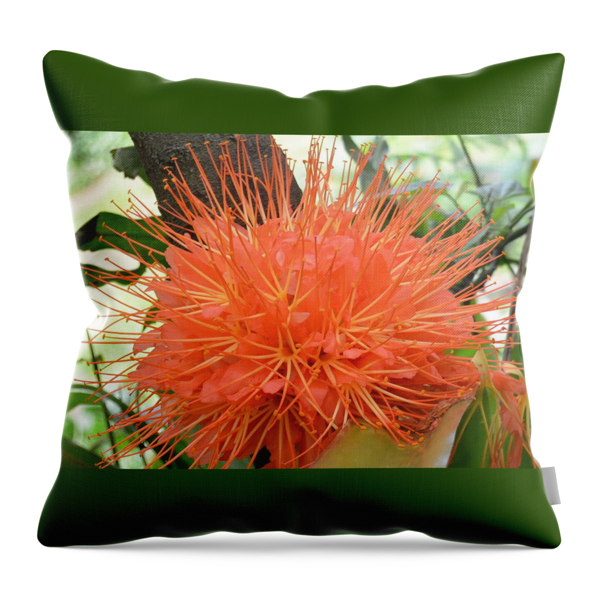 Kauai Throw Pillow featuring the photograph Scarlet Flame Bean Flower by Amy Fose