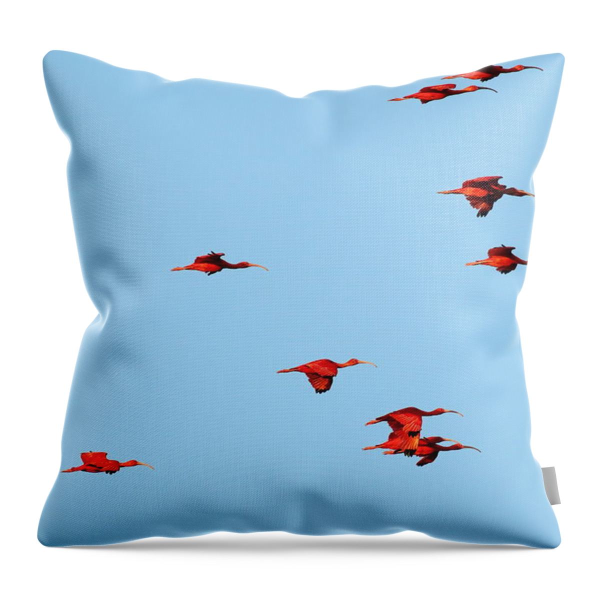 Trinidad Throw Pillow featuring the photograph Scarlet Ibis at Caroni Swamp by Steve Wolfe