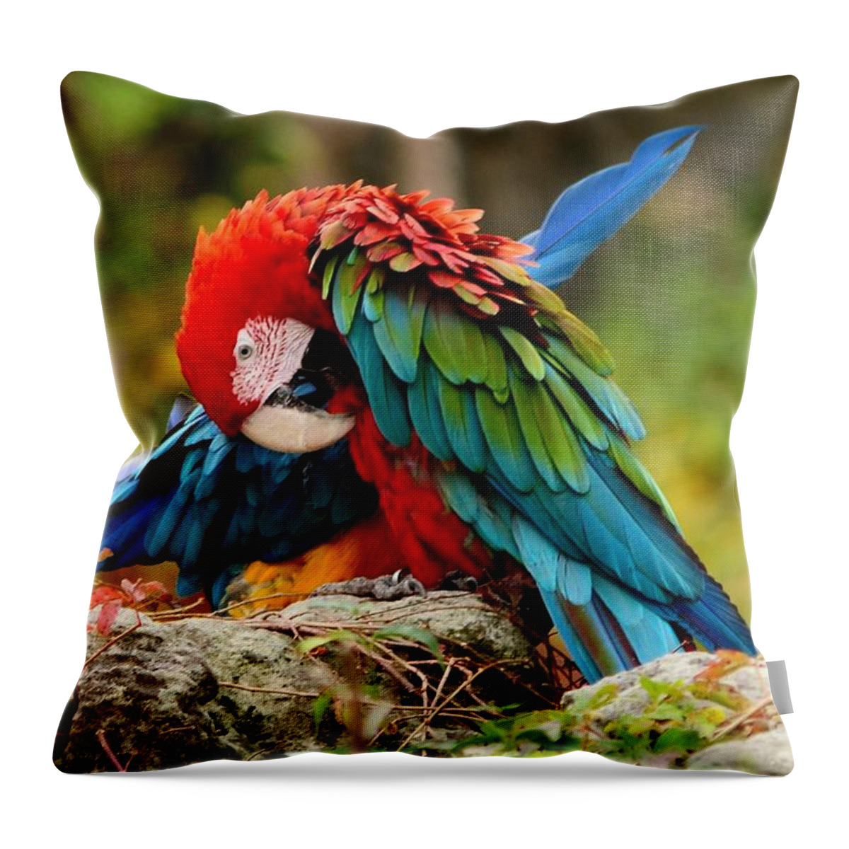 Bird Throw Pillow featuring the photograph Scarlet Macaw by Elaine Manley