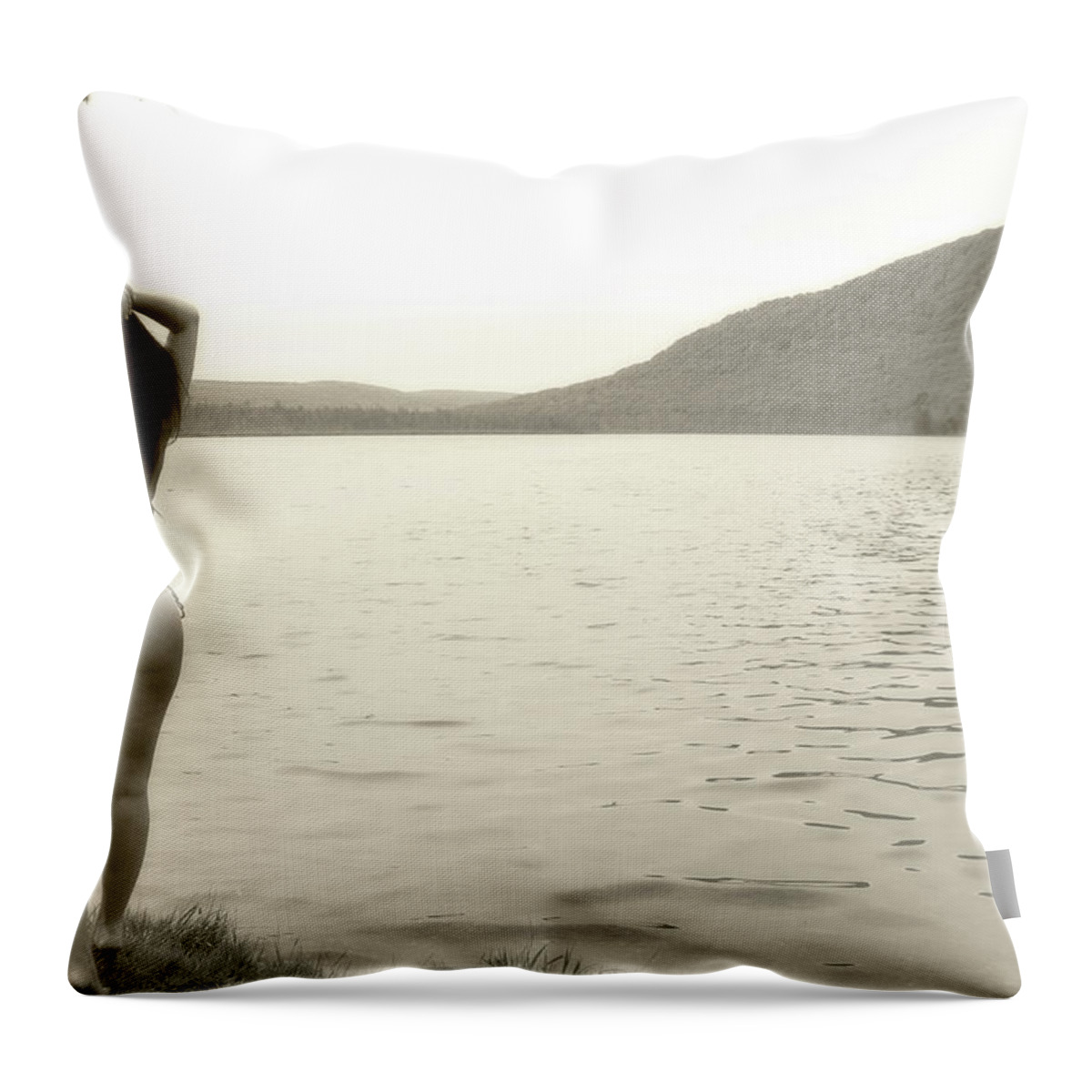 Pond Throw Pillow featuring the photograph Scenery by David Stasiak