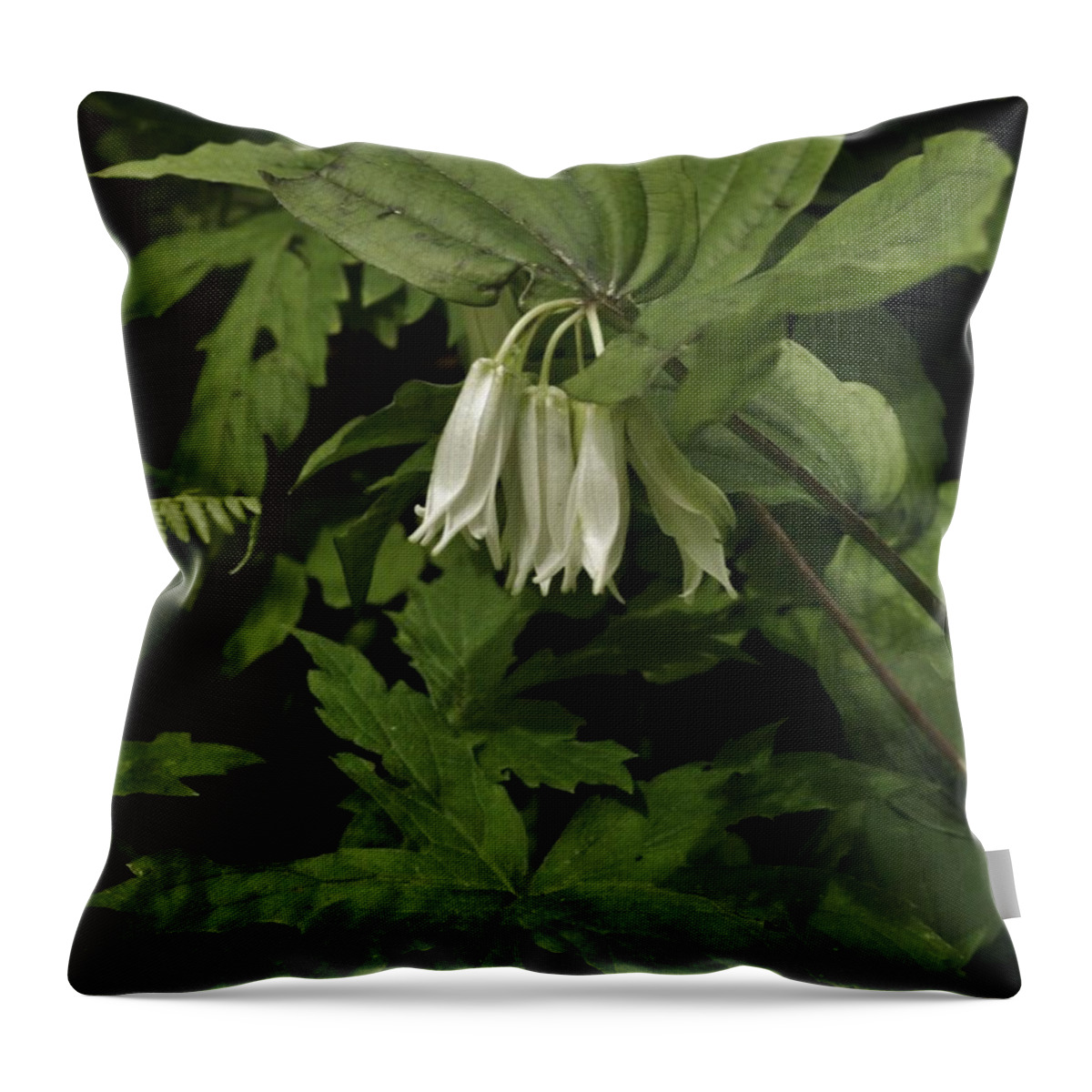 Nature Throw Pillow featuring the photograph Scenes of Serenity by Charles Lucas