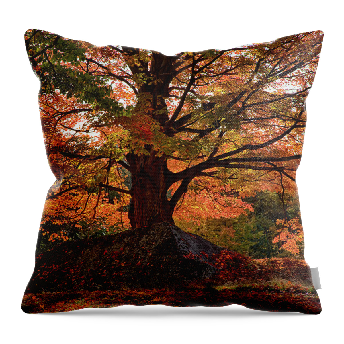 #jefffolger Throw Pillow featuring the photograph Scenic byway in peabody MA by Jeff Folger