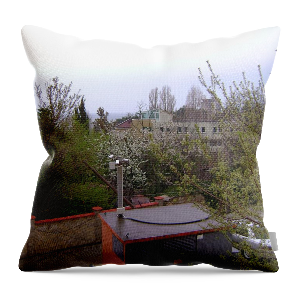 View Throw Pillow featuring the photograph Scenic View by Moshe Harboun