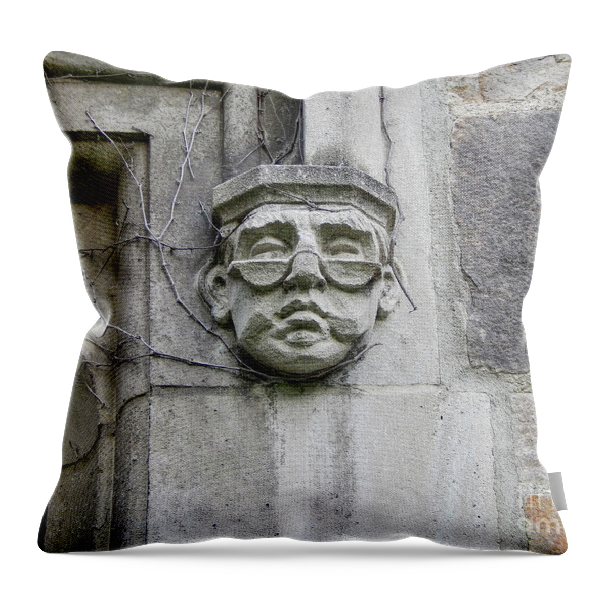 University Of Michigan Throw Pillow featuring the photograph Scholarly Face by Phil Perkins