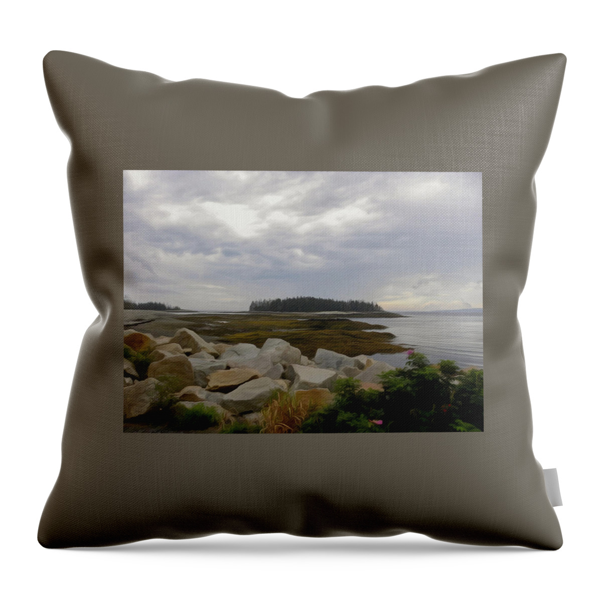 Maine Throw Pillow featuring the photograph Schoodic Point Maine by Jewels Hamrick