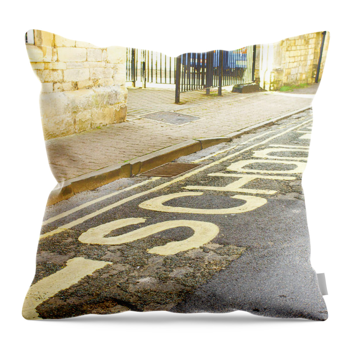 Abstract Throw Pillow featuring the photograph School entrance by Tom Gowanlock