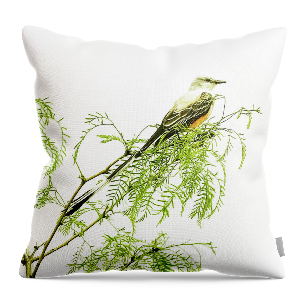 Animal Throw Pillow featuring the photograph Scissortail On Mesquite by Robert Frederick